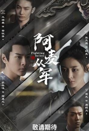阿麦从军电视剧免费观看